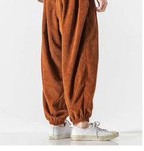 Load image into Gallery viewer, Simple and clean corduroy harem pants
