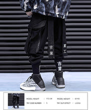 Load image into Gallery viewer, Ishin tech cargo pants
