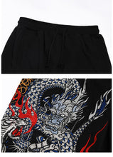 Load image into Gallery viewer, Hyper premium dragon flight dragon beast pants