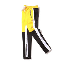 Load image into Gallery viewer, Premium 2 color street style track pants